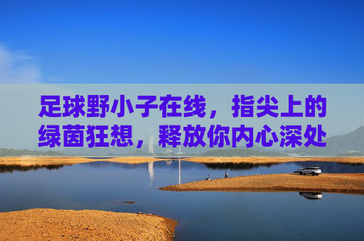 足球野小子在线,指尖上的绿茵狂想,释放你内心深处的野性