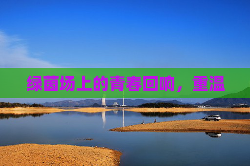 绿茵场上的青春回响,重温