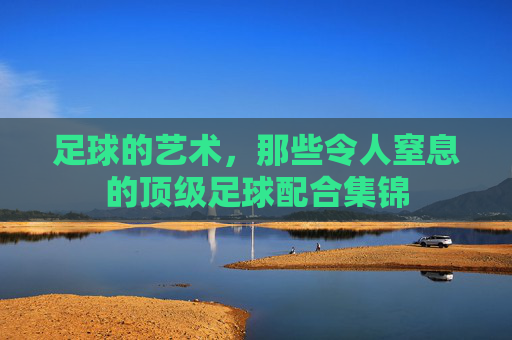足球的艺术，那些令人窒息的顶级足球配合集锦