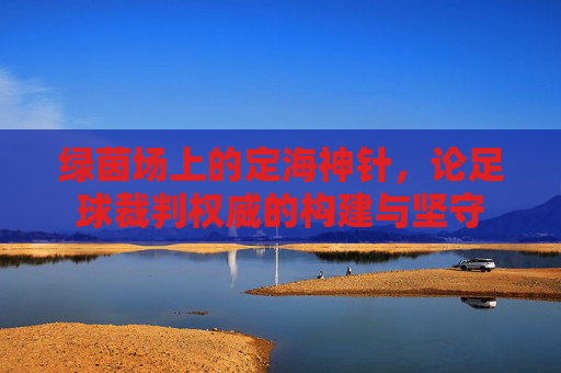 绿茵场上的定海神针，论足球裁判权威的构建与坚守
