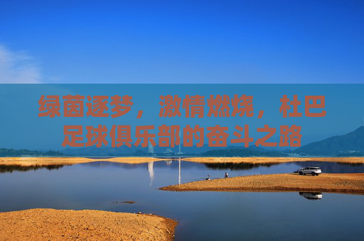 绿茵逐梦,激情燃烧,杜巴足球俱乐部的奋斗之路