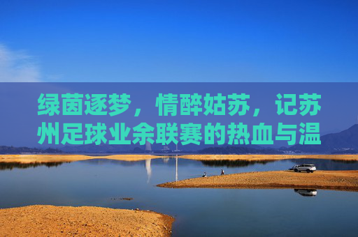 绿茵逐梦,情醉姑苏,记苏州足球业余联赛的热血与温情