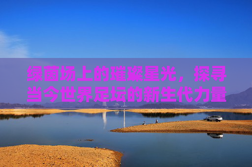 绿茵场上的璀璨星光,探寻当今世界足坛的新生代力量