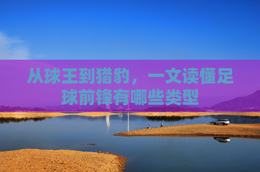 从球王到猎豹,一文读懂足球前锋有哪些类型