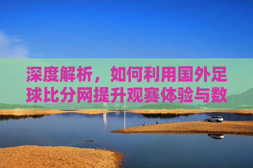 深度解析,如何利用国外足球比分网提升观赛体验与数据分析能力