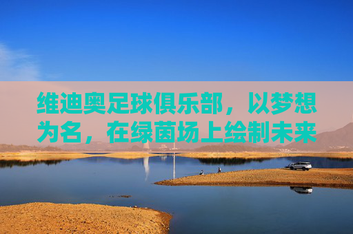 维迪奥足球俱乐部,以梦想为名,在绿茵场上绘制未来