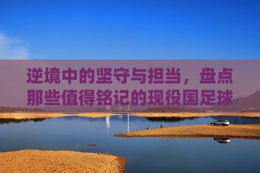 逆境中的坚守与担当,盘点那些值得铭记的现役国足球星