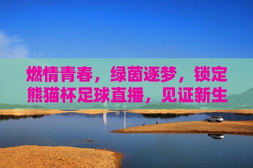 燃情青春,绿茵逐梦,锁定熊猫杯足球直播,见证新生代力量