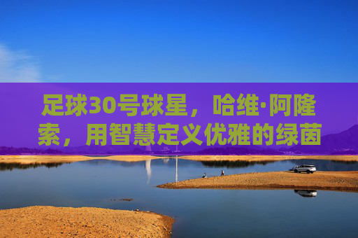 足球30号球星,哈维·阿隆索,用智慧定义优雅的绿茵诗人