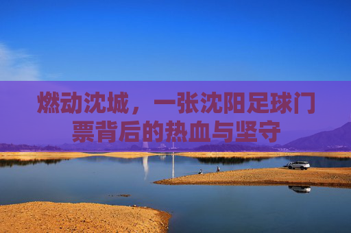 燃动沈城,一张沈阳足球门票背后的热血与坚守