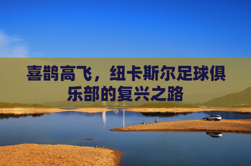 喜鹊高飞,纽卡斯尔足球俱乐部的复兴之路