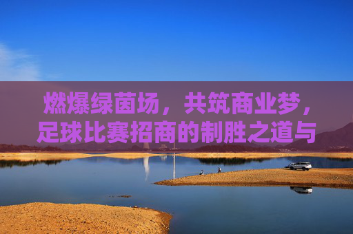 燃爆绿茵场,共筑商业梦,足球比赛招商的制胜之道与未来趋势