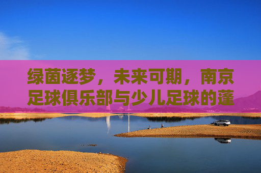 绿茵逐梦，未来可期，南京足球俱乐部与少儿足球的蓬勃共舞