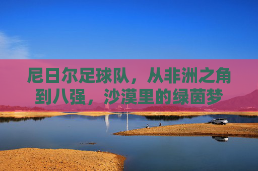 尼日尔足球队,从非洲之角到八强,沙漠里的绿茵梦