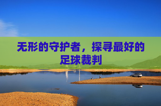 无形的守护者,探寻最好的足球裁判