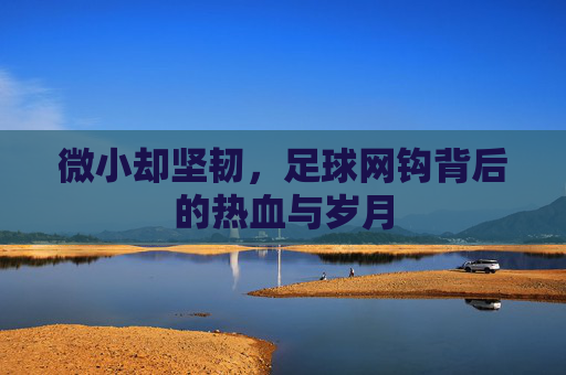 微小却坚韧,足球网钩背后的热血与岁月