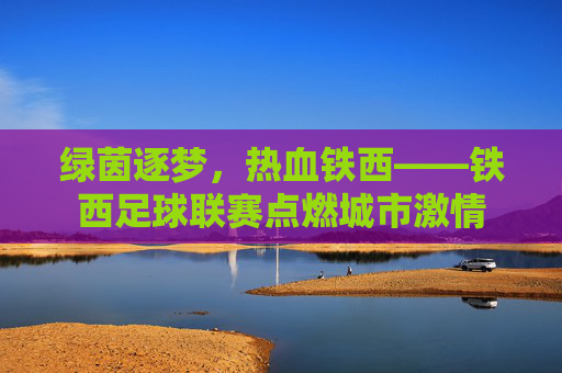 绿茵逐梦,热血铁西——铁西足球联赛点燃城市激情