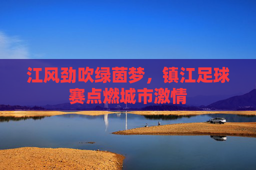 江风劲吹绿茵梦,镇江足球赛点燃城市激情
