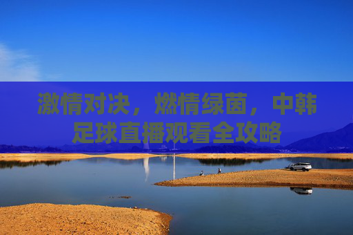 激情对决，燃情绿茵，中韩足球直播观看全攻略