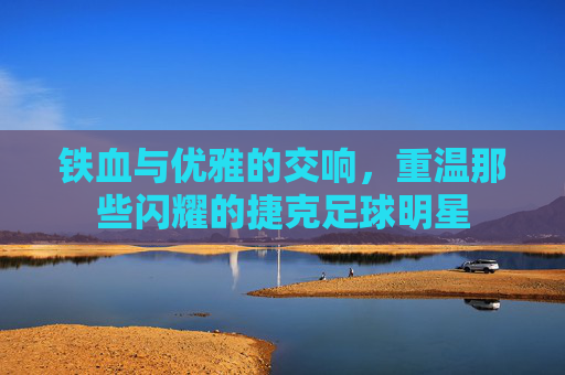 铁血与优雅的交响,重温那些闪耀的捷克足球明星
