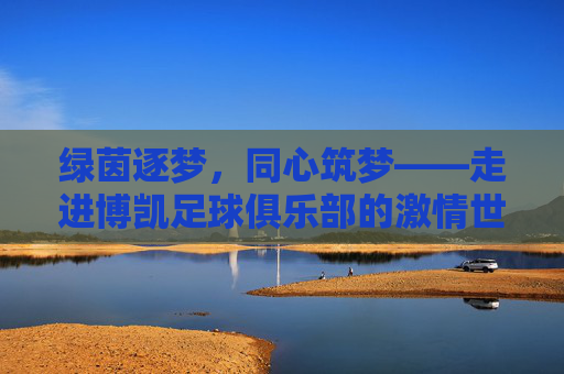 绿茵逐梦,同心筑梦——走进博凯足球俱乐部的激情世界