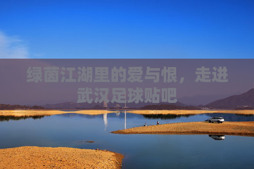 绿茵江湖里的爱与恨,走进武汉足球贴吧