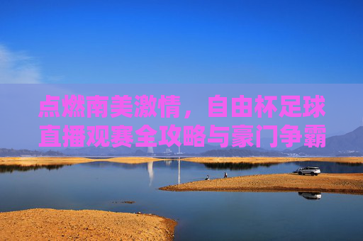 点燃南美激情,自由杯足球直播观赛全攻略与豪门争霸前瞻
