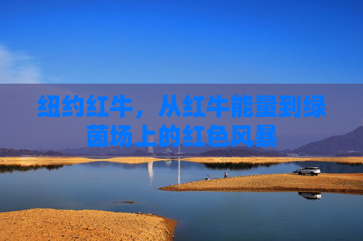 纽约红牛,从红牛能量到绿茵场上的红色风暴