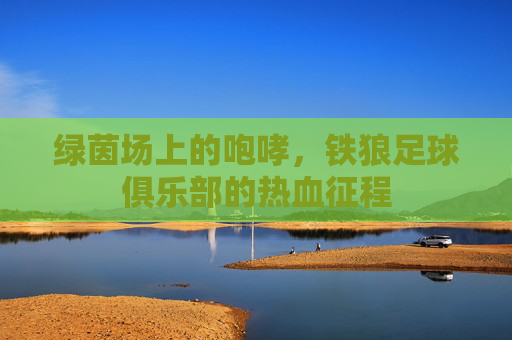 绿茵场上的咆哮,铁狼足球俱乐部的热血征程