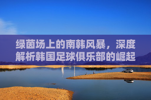 绿茵场上的南韩风暴,深度解析韩国足球俱乐部的崛起与魅力