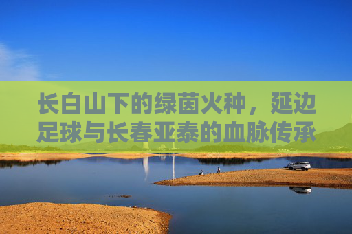 长白山下的绿茵火种,延边足球与长春亚泰的血脉传承
