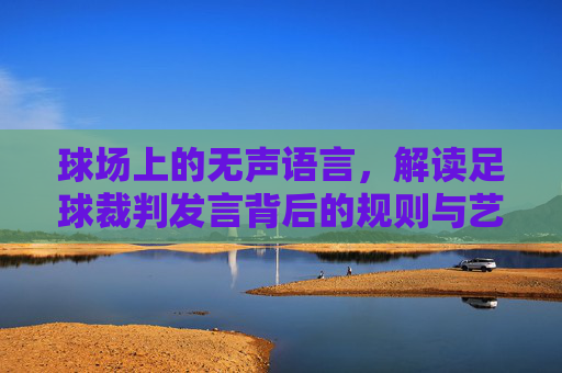 球场上的无声语言,解读足球裁判发言背后的规则与艺术