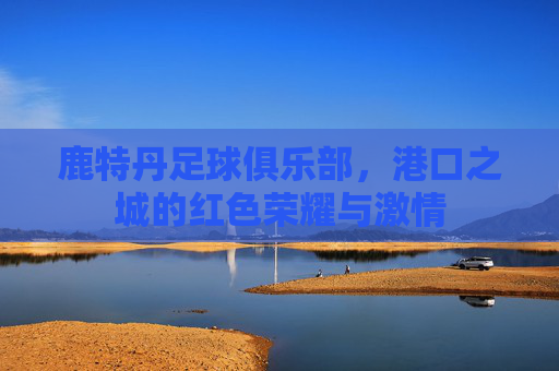 鹿特丹足球俱乐部,港口之城的红色荣耀与激情