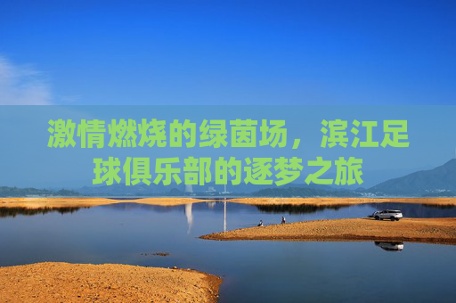 激情燃烧的绿茵场，滨江足球俱乐部的逐梦之旅