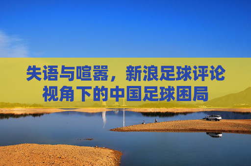 失语与喧嚣,新浪足球评论视角下的中国足球困局