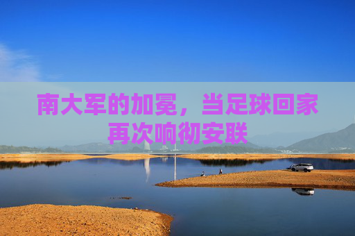 南大军的加冕,当足球回家再次响彻安联