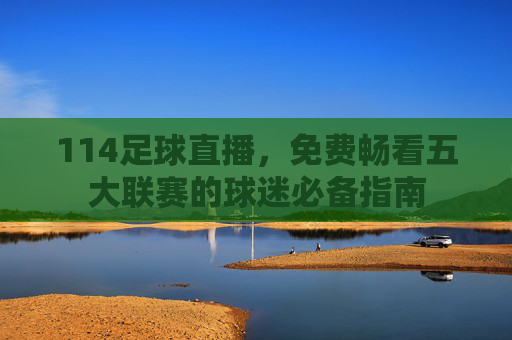 114足球直播,免费畅看五大联赛的球迷必备指南