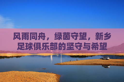 风雨同舟,绿茵守望,新乡足球俱乐部的坚守与希望