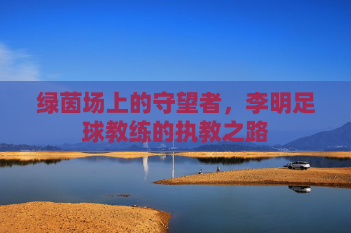 绿茵场上的守望者,李明足球教练的执教之路
