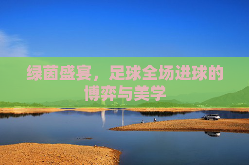 绿茵盛宴，足球全场进球的博弈与美学