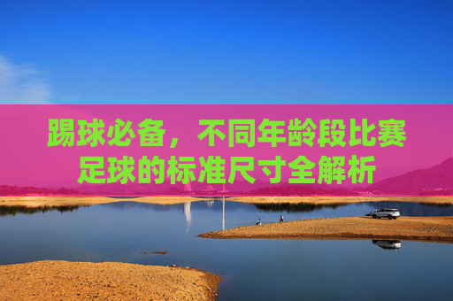 踢球必备，不同年龄段比赛足球的标准尺寸全解析