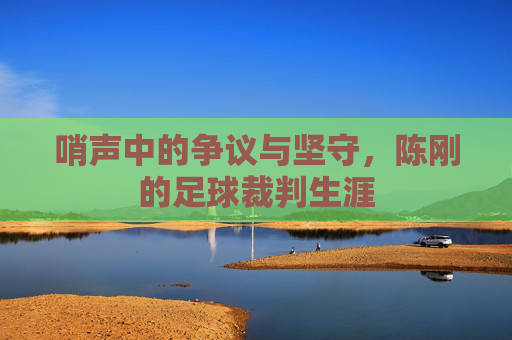 哨声中的争议与坚守,陈刚的足球裁判生涯