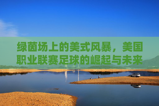 绿茵场上的美式风暴,美国职业联赛足球的崛起与未来