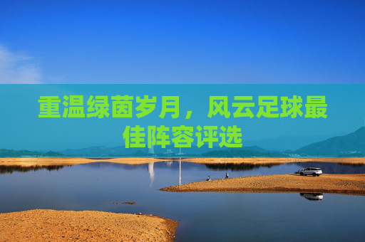 重温绿茵岁月,风云足球最佳阵容评选