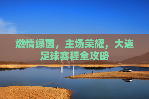 燃情绿茵,主场荣耀,大连足球赛程全攻略