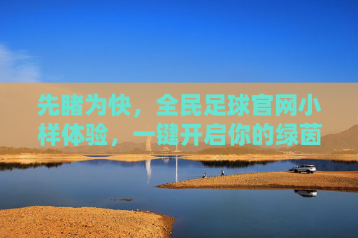 先睹为快,全民足球官网小样体验,一键开启你的绿茵传奇