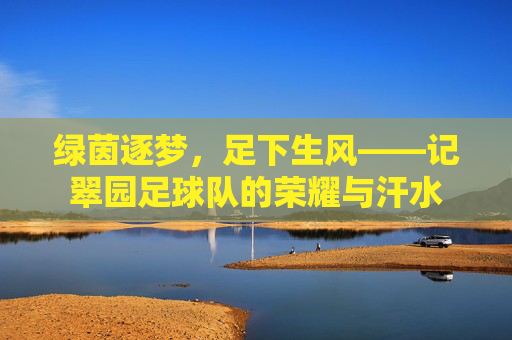 绿茵逐梦,足下生风——记翠园足球队的荣耀与汗水
