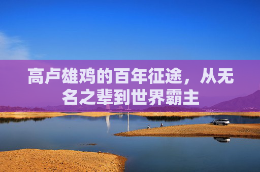 高卢雄鸡的百年征途,从无名之辈到世界霸主