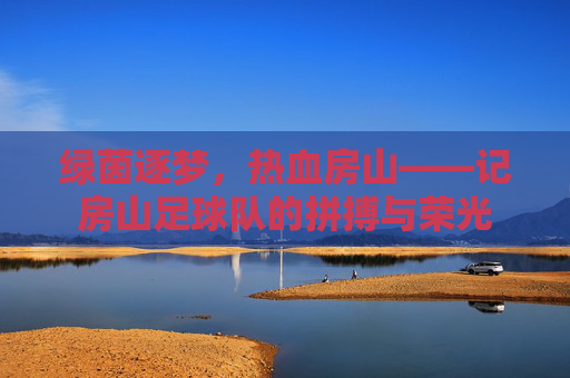 绿茵逐梦,热血房山——记房山足球队的拼搏与荣光