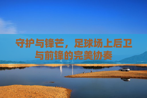 守护与锋芒,足球场上后卫与前锋的完美协奏